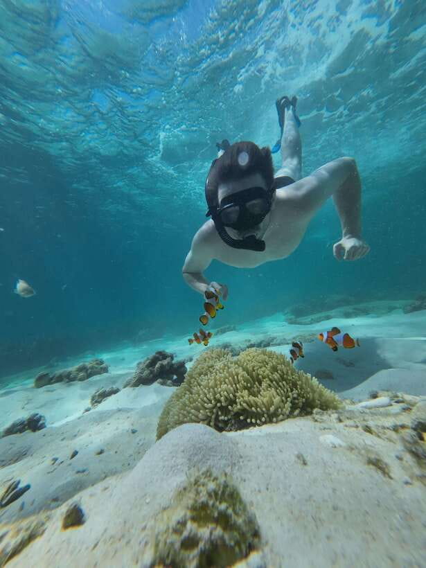 Koh Lipe: Half-Day Snorkeling (Morning/Afternoon/Sunset) - Sunset Trip (14:30 to 18:30): 3 Snorkeling Points, Beach Breaks, and the Andaman Sea Glow