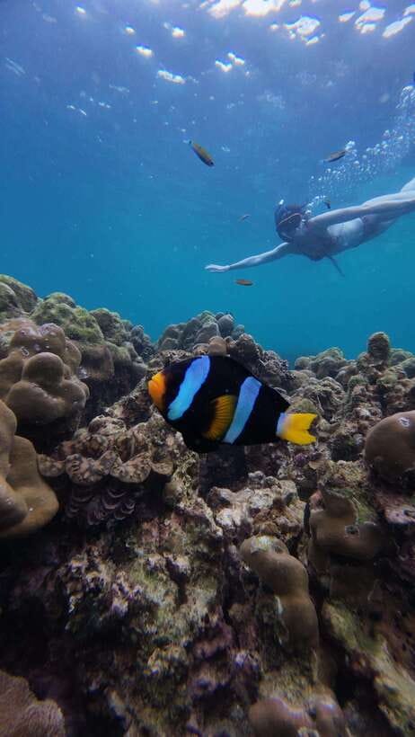 Koh Lipe: Half-Day Snorkeling (Morning/Afternoon/Sunset) - Longtail Boat Ride: Why It’s More Than Transport