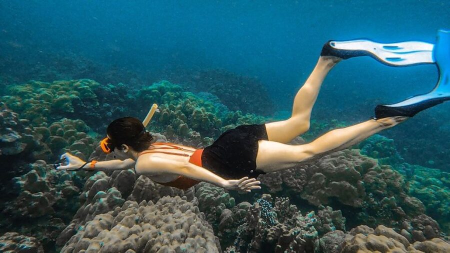 Koh Lipe: Longtail Boat Snorkeling Trip Program A - Key highlights to know before you book