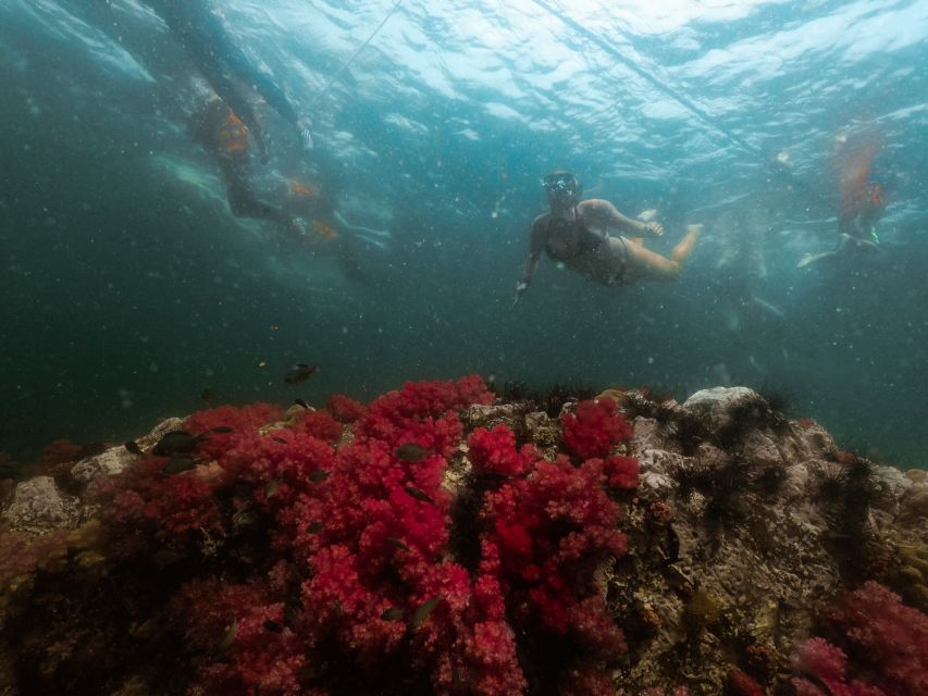 Koh Lipe: Longtail Boat Snorkeling Trip Program A - Stop-By-Stop: Jabung, Hin Ngam, Koh Yang, Rawi, Adang