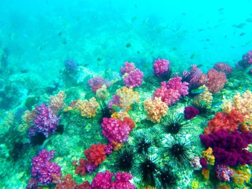 Koh Lipe Snorkeling Trip 6 hours Trip1 - Koh Adang and Sai Sai Bay wide-bay snorkeling: more room to rest