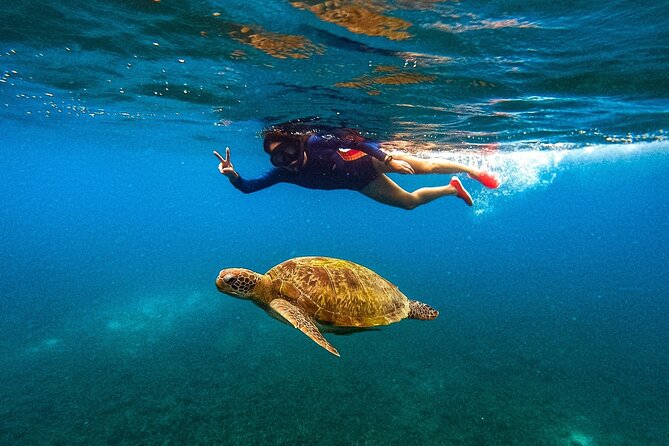 Koh Nang Yuan and Koh Tao 5 Point Snorkeling Tour - Five snorkeling bays in one big-boat day