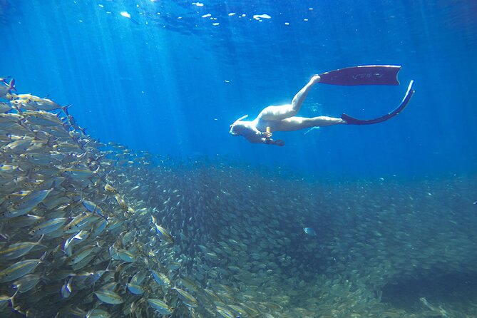 Koh Nang Yuan and Koh Tao 5 Point Snorkeling Tour - Practical tips so your snorkel time feels smooth