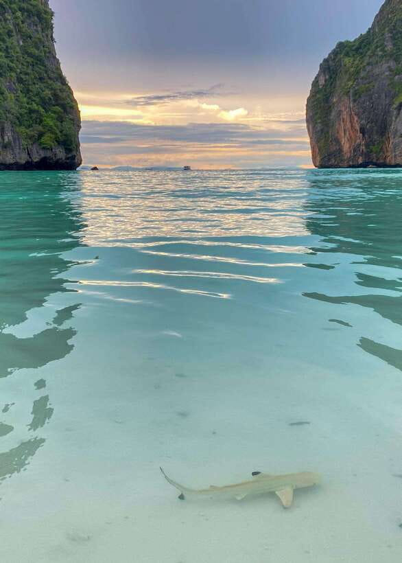 Koh Phi Phi: Maya Bay Private Longtail Boat Tour - Private Longtail Boat Tour Value on Koh Phi Phi