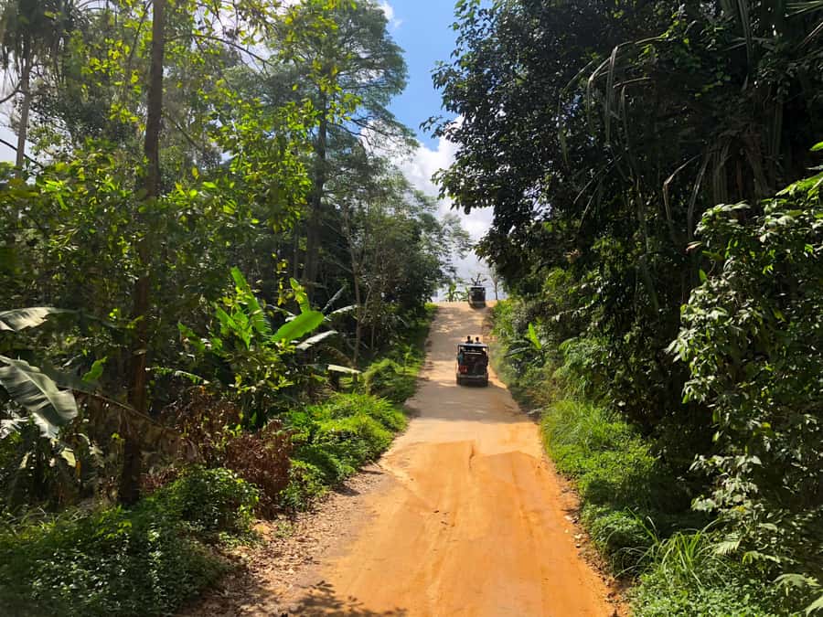 Koh Samui: 4x4 Off Road Island Safari Tour Including Lunch - Lunch at a Panoramic Restaurant: Eat Well, Sit High