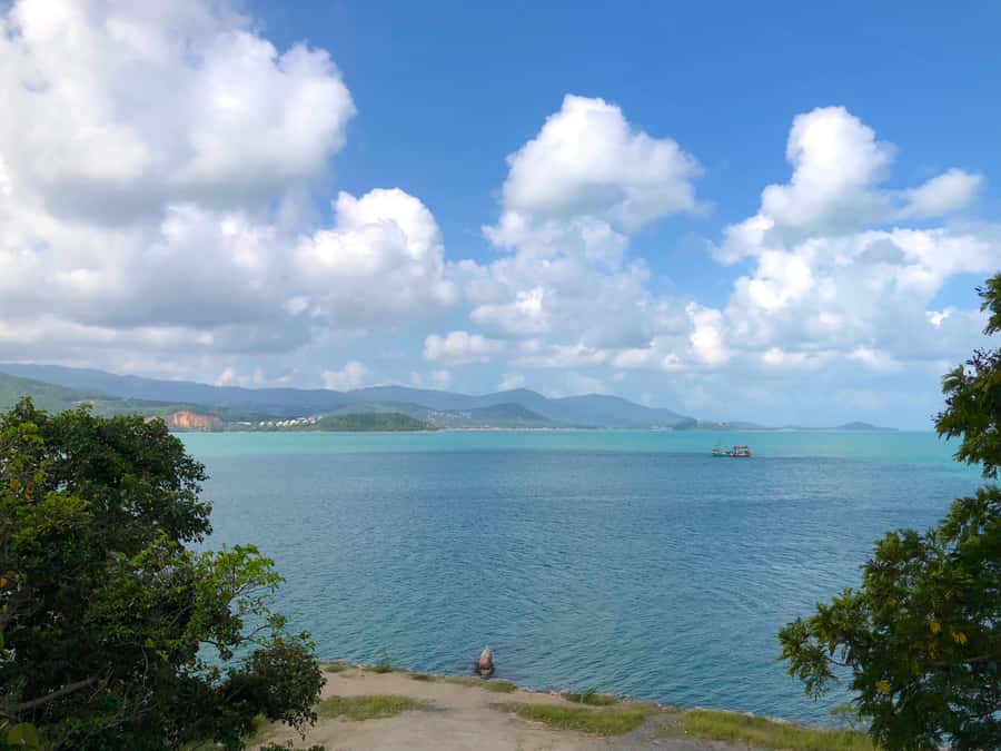 Koh Samui: 4x4 Off Road Island Safari Tour Including Lunch - Plantations in Real Life: Coconut and Rubber Workday