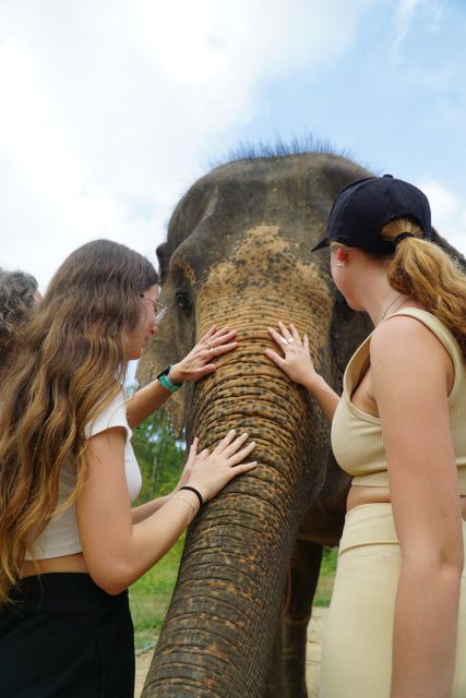 Koh Samui: 4x4 Sightseeing Safari & Elephant Sanctuary Tour - The elephant sanctuary segment: feeding and learning, without riding