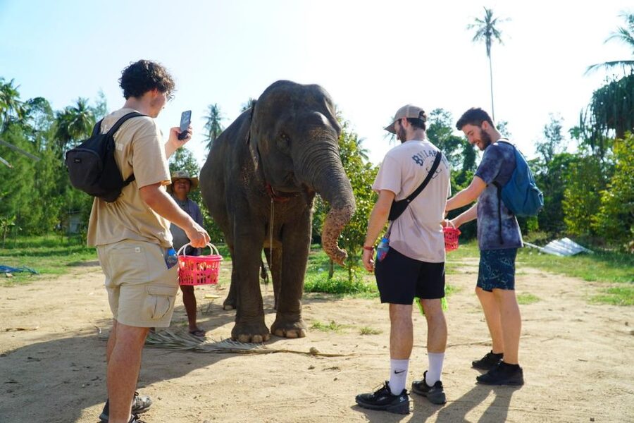Koh Samui: 4x4 Sightseeing Safari & Elephant Sanctuary Tour - Wat Teepangkorn and the Golden Buddha: culture with strong visuals