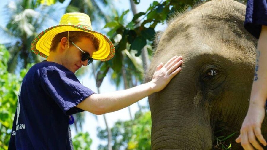 Koh Samui: 4x4 Sightseeing Safari & Elephant Sanctuary Tour - Wat Khunaram and the mummified monk: the strangest stop on a fun day