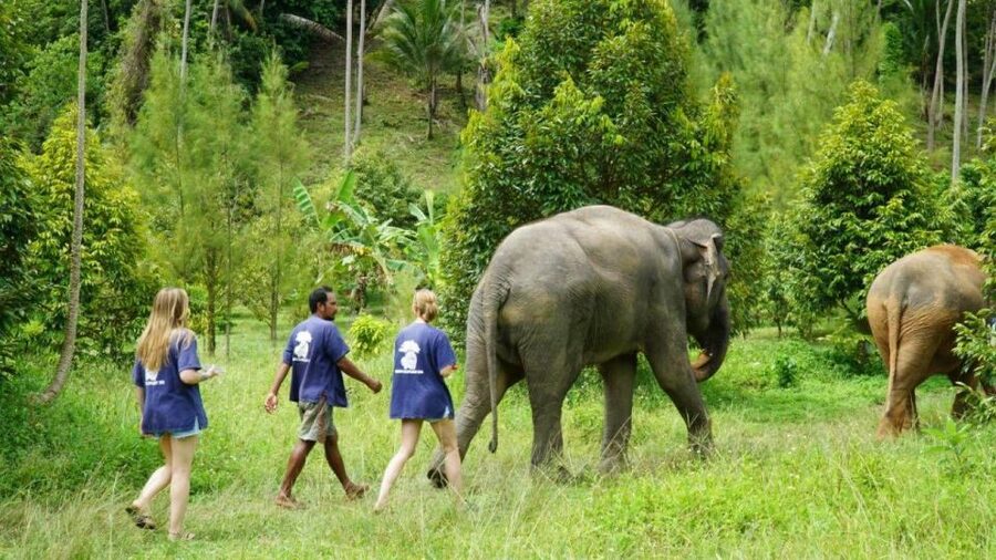 Koh Samui: 4x4 Sightseeing Safari & Elephant Sanctuary Tour - The 360° peak view, plus the rooftop option that people remember