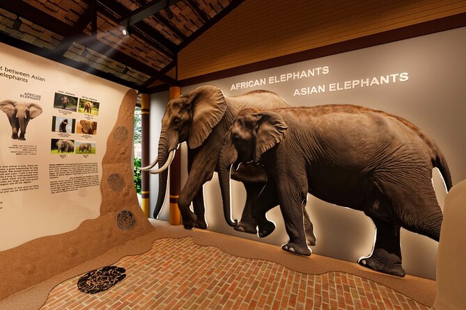 Koh Samui Elephant Home Sanctuary and the first Elephant Museum - How to decide if this Koh Samui elephant experience fits you