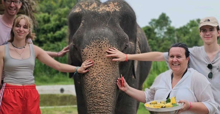 Koh Samui: Elephant Sanctuary and Jungle Tour with Lunch - Practical tips, what to bring and how to avoid small hassles