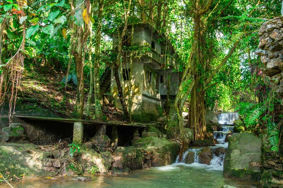 Koh Samui: Elephant Sanctuary and Jungle Tour with Lunch - Guides and drivers, why it matters more than you think