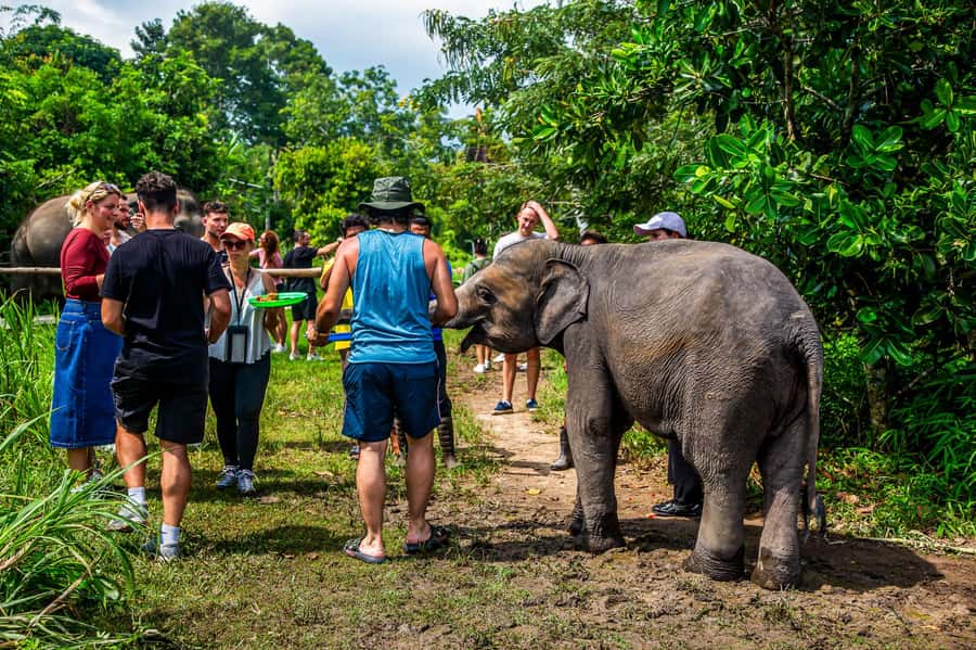 Koh Samui: Elephant Sanctuary and Jungle Tour with Lunch - Namuang Waterfall 1, quick refresh and what to do about muddy water