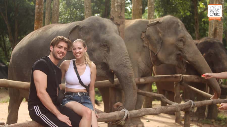 Koh Samui: Elephant Sanctuary Entry and Feeding Experience - Guides, Questions, and the Photo Help You Will Actually Appreciate