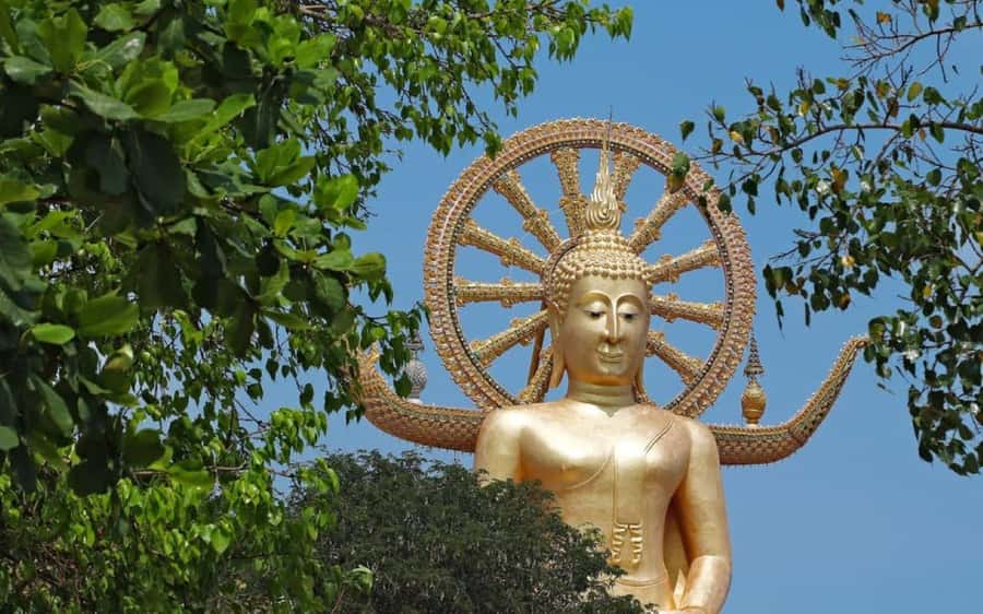 Koh Samui: Half-Day Highlights Tour with Hotel Transfers - Big Buddha, Wat Phra Yai, and the Lady Monk Temple stops