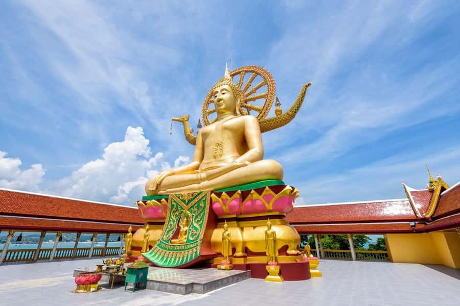 Koh Samui: Half-Day Highlights Tour with Hotel Transfers - Hotel pickup and a small-group day that stays comfortable