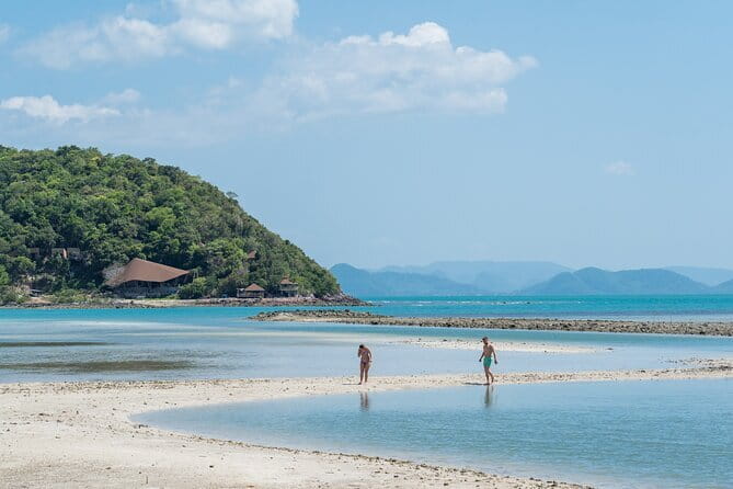 Koh Samui: Island Hopping Adventure in Coral and Pig Island - Key highlights worth planning for