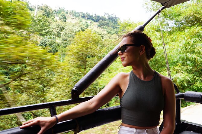 Koh Samui Jungle Safari By JEEP With MR.UNG (Including Lunch) - Pra Buddha Dipankara and the 360-degree views moment
