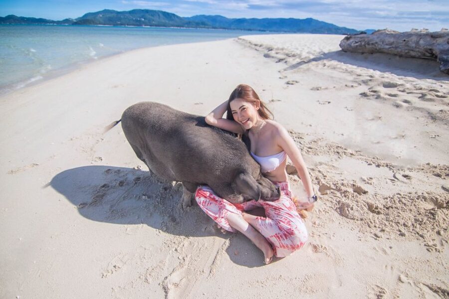 Koh Samui: Pig Island & Koh Tan Snorkeling by Speed boat - Koh Tan lunch break: a buffet that actually works as fuel