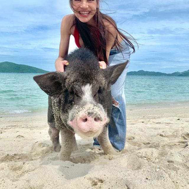 Koh Samui: Pig Island & Koh Tan Snorkeling by Speed boat - Value check: how a $52 price adds up