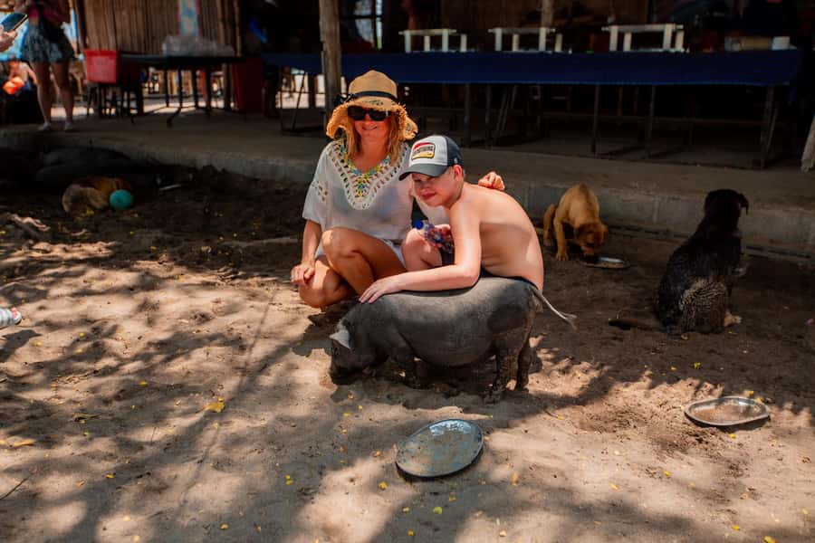 Koh Samui: Pig Island & Koh Tan Speedboat Tour with Lunch - Wrap-up: should you book the Pig Island and Koh Tan speedboat tour?