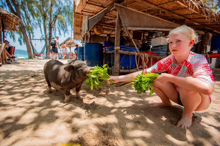 Koh Samui: Pig Island & Koh Tan Speedboat Tour with Lunch - Lunch on the island: what is included and why it matters