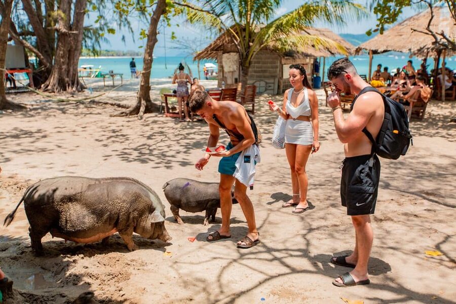 Koh Samui: Pig Island & Koh Tan Speedboat Tour with Lunch - Price and value: $47, then factor in the small add-ons