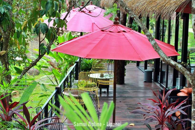 Koh Samui: Samui Zipline Adventure with Transfer service - Price and value: $57 for the full setup, not just the cables