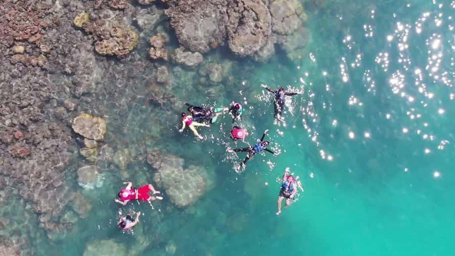 Koh Samui: Sunset Pig Island and Snorkeling Koh Tan w/Dinner - Why this afternoon timing works so well