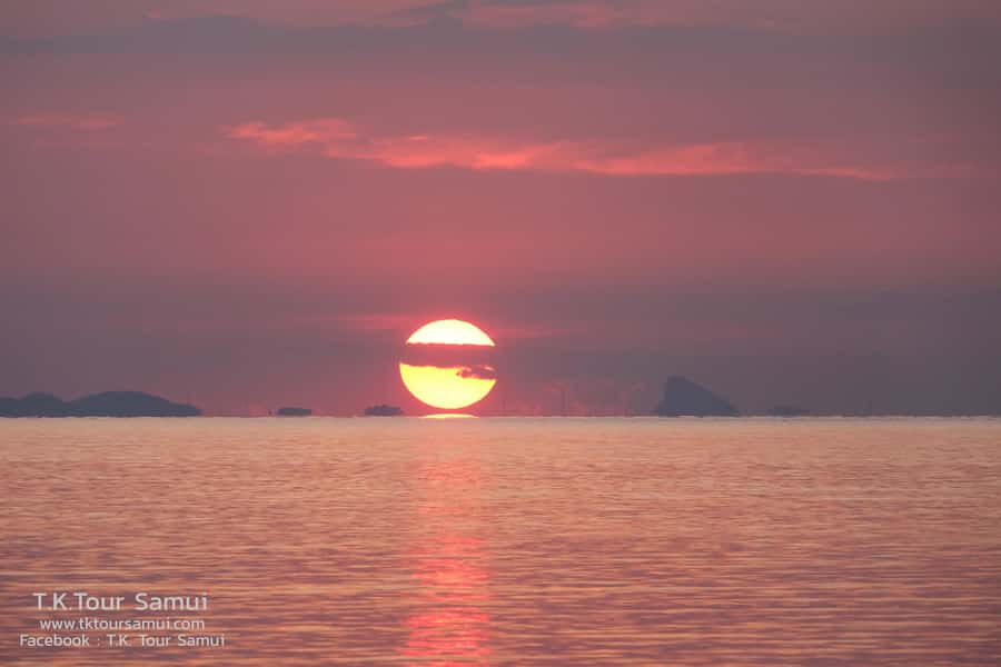 Koh Samui: Sunset Pig Island and Snorkeling Koh Tan w/Dinner - Practical tips that make the day easier