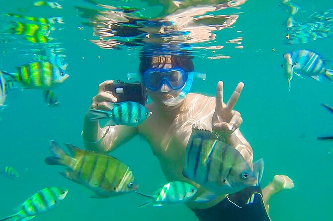 Koh Talu Full Day Shared Experience with Lunch - Lunch at the Koh Talu Resort Club House: a real break, not a snack