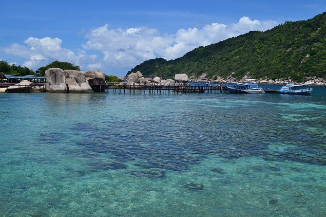 Koh Tao and Koh Nang Yuan Snorkeling Trip By Speedboat From Koh Samui - Speedboat day timing: how 7 to 8 hours actually plays out