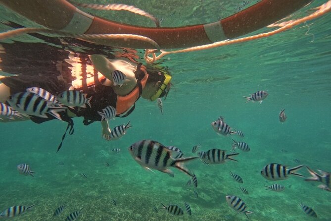 Koh Tao and Koh Nang Yuan Speedboat Tour from Koh Phangan - Weather Reality: When Plans Shift on the Water