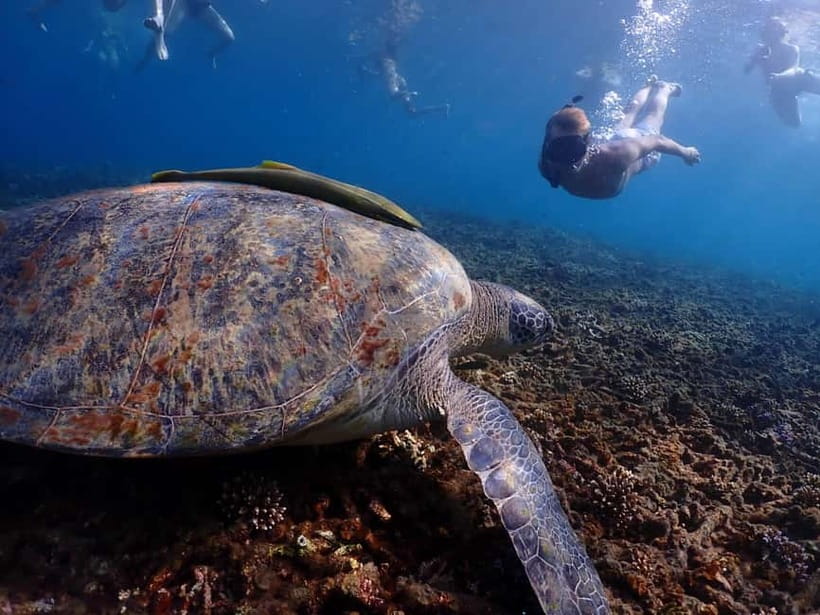Koh Tao: Golden Hour Getaway – Your Late Start to Paradise - Key things that make this Koh Tao trip worth your time
