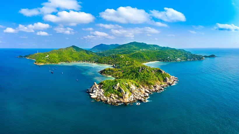 Koh Tao: Golden Hour Getaway – Your Late Start to Paradise - Shark Bay at golden hour: blacktip reef sharks, sea turtles, and dolphins
