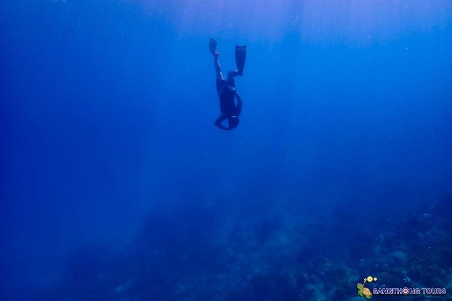 Koh Tao: Islands Snorkeling Highlights Day Tour & Lunch - From your hotel to Mae Haad Pier, then straight onto the water
