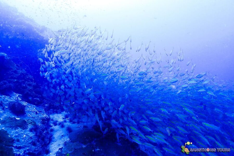 Koh Tao: Islands Snorkeling Highlights Day Tour & Lunch - Ao Hin Wong: boulders, clear water, and shallow-water fish drama