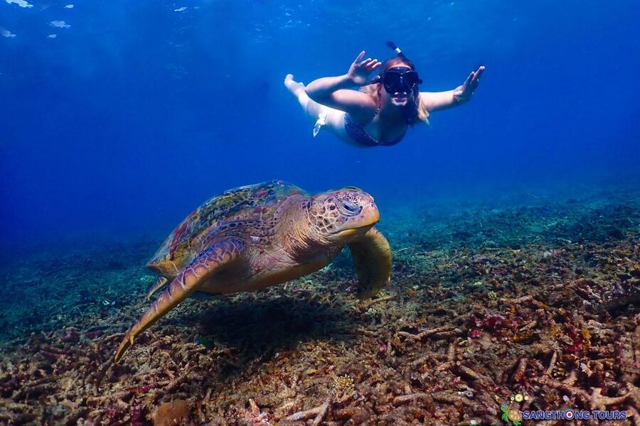 Koh Tao: Islands Snorkeling Highlights Day Tour & Lunch - Aow Leuk: why low tide can still be good here