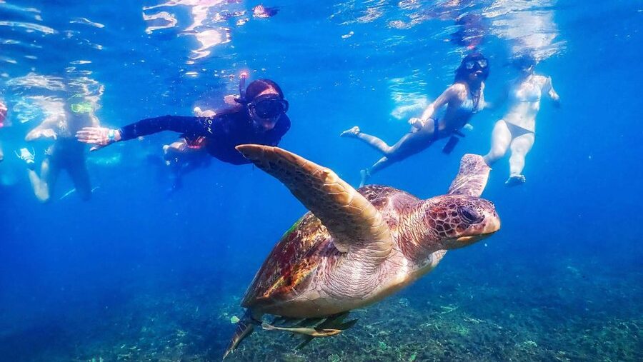 Koh Tao: Koh Nangyuan and the Hidden Bays Trip by the Oxygen - Nang Yuan Island: Sand Bridge, Viewpoint, and the Best-Bet Snorkel