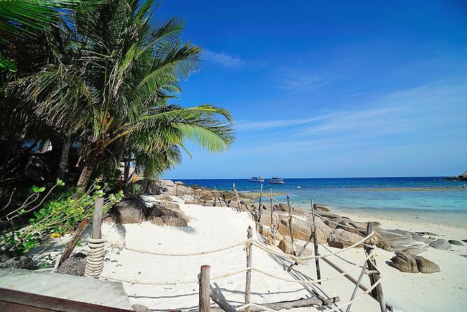 Koh Tao & Koh Nangyuan by Speed Boat (Snorkeling trip from Koh Samui) - Snorkeling stop at Ao Muang or Mango Bay, coral and fish