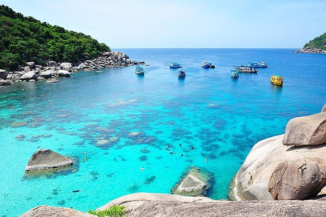 Koh Tao & Koh Nangyuan by Speed Boat (Snorkeling trip from Koh Samui) - Buffet lunch by the beach, and why it matters mid-day