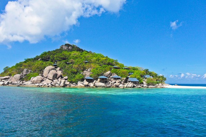Koh Tao & Koh Nangyuan by Speed Boat (Snorkeling trip from Koh Samui) - Morning pickup, pier check-in, and starting at 8:00 am