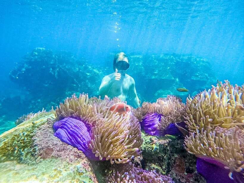 Koh Tao: Koh Nangyuan & Hidden Bays Snorkeling Tour w/ Lunch - Key points to know before you go