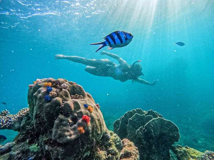 Koh Tao: Koh Nangyuan & Hidden Bays Snorkeling Tour w/ Lunch - Koh Nang Yuan and the hidden-bay route: why this trip works