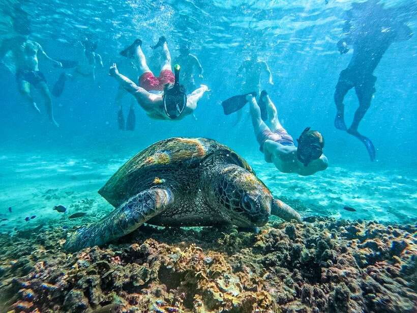 Koh Tao: Koh Nangyuan & Hidden Bays Snorkeling Tour w/ Lunch - Stop by stop: what each snorkeling bay is like
