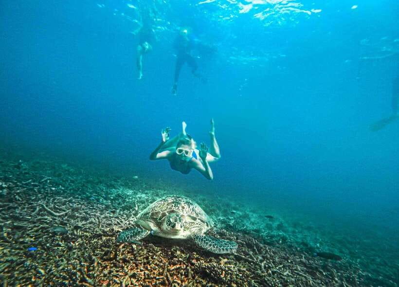 Koh Tao: Koh Nangyuan & Hidden Bays Snorkeling Tour w/ Lunch - What the guides do that makes the difference (Co Coa, Tiny, Lucky)