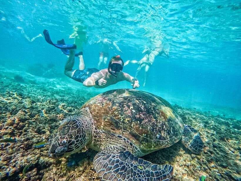 Koh Tao: Koh Nangyuan & Hidden Bays Snorkeling Tour w/ Lunch - Pickup, boat, and snorkeling gear: what you get for your $27