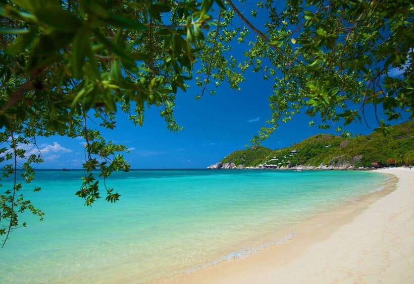 Koh Tao: Premium Snorkel Tour to Koh Nangyuan Bays by Oxygen - Price and Value: Why $48 Feels Fair for a Small-Group Day