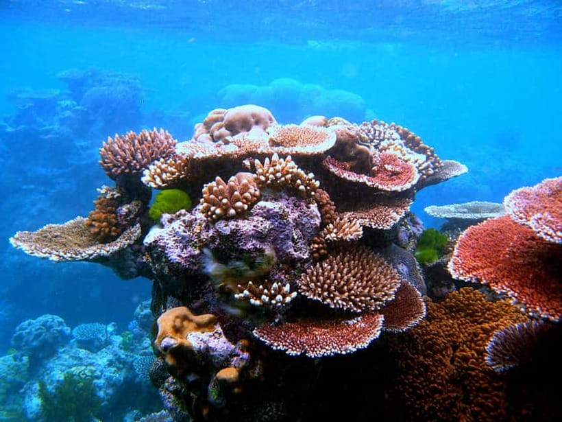 Koh Tao: Snorkeling and Sunset Tour - Getting to the Boat and Back From the Koh Tao Academy